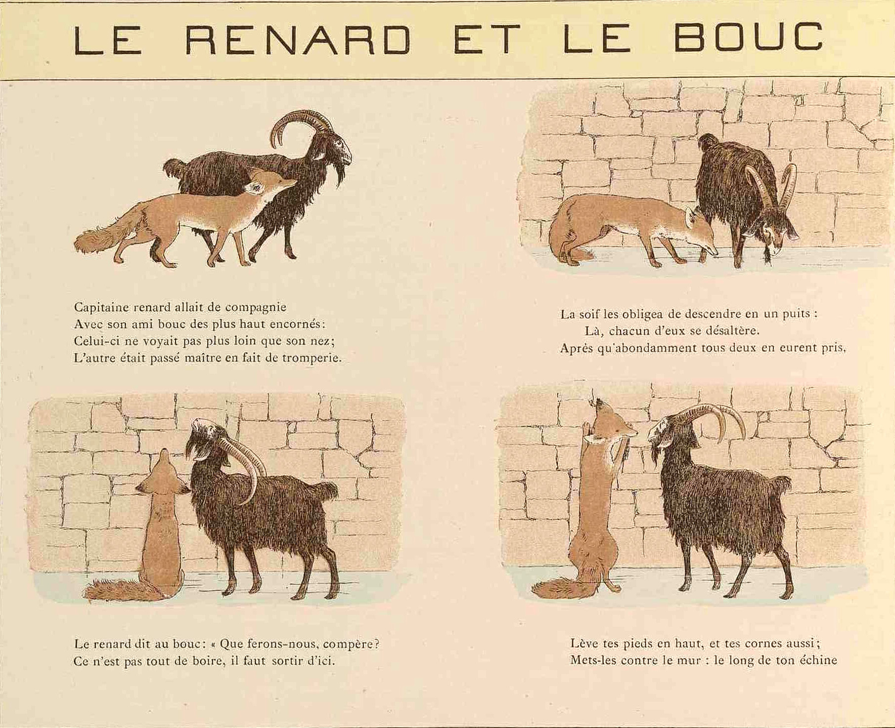 Le renard et le bouc – Une sorcière m'a dit