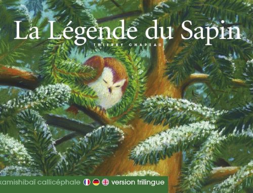 La légende du sapin